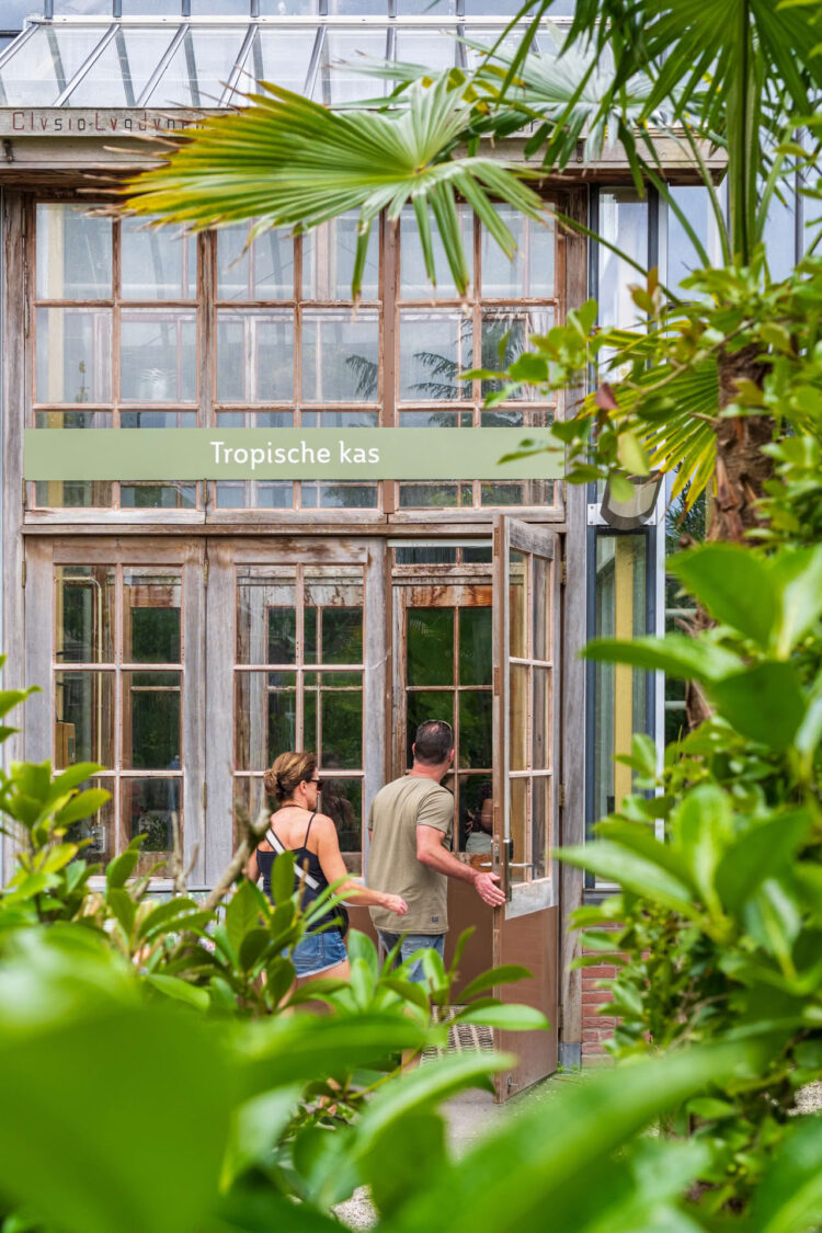 Hortus botanicus Leiden