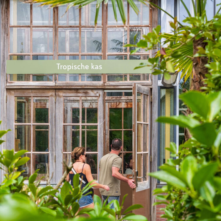 Hortus botanicus Leiden